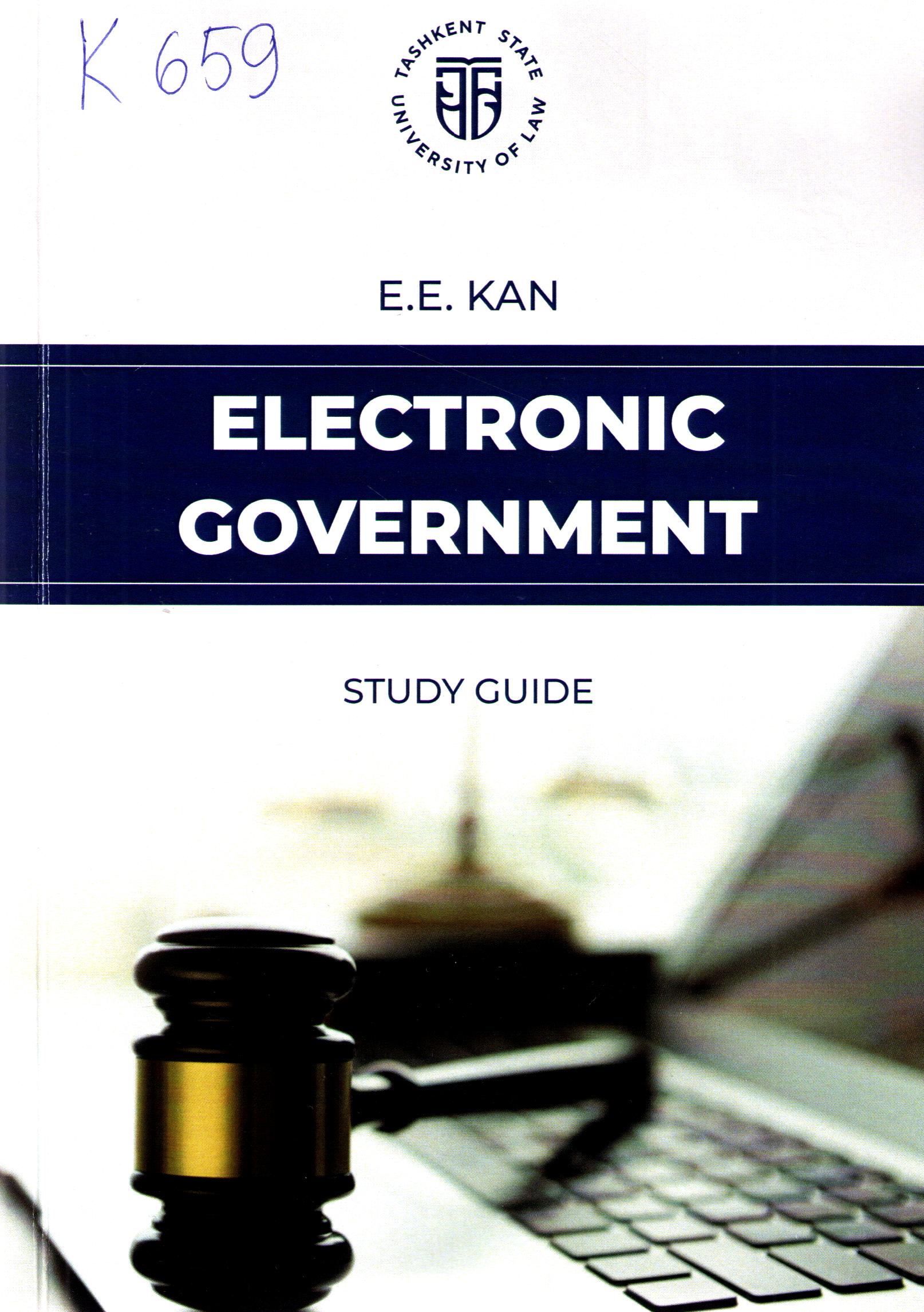 Electronic government